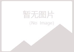 鹤岗南山如霜咨询有限公司